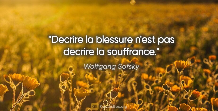 Wolfgang Sofsky citation: "Decrire la blessure n'est pas decrire la souffrance."