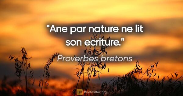 Proverbes bretons citation: "Ane par nature ne lit son ecriture."