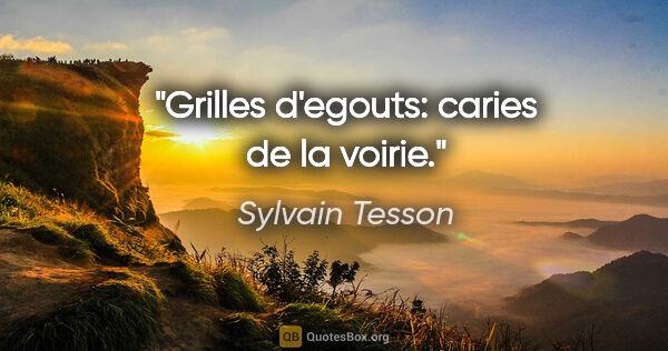 Sylvain Tesson citation: "Grilles d'egouts: caries de la voirie."