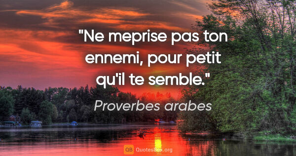 Proverbes arabes citation: "Ne meprise pas ton ennemi, pour petit qu'il te semble."