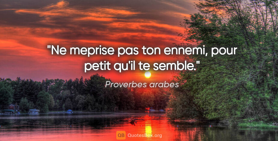 Proverbes arabes citation: "Ne meprise pas ton ennemi, pour petit qu'il te semble."