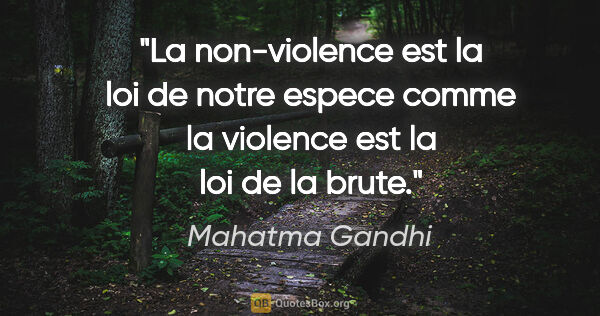 Mahatma Gandhi citation: "La non-violence est la loi de notre espece comme la violence..."