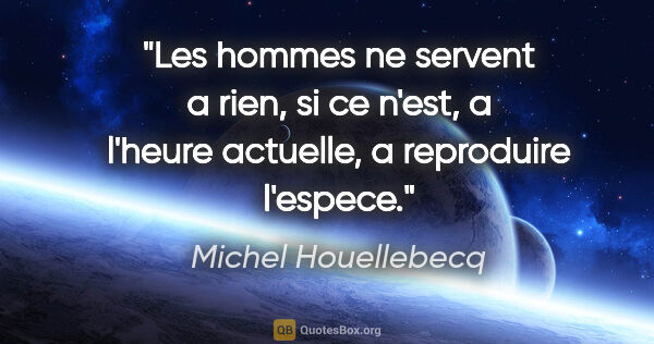 Michel Houellebecq citation: "Les hommes ne servent a rien, si ce n'est, a l'heure actuelle,..."