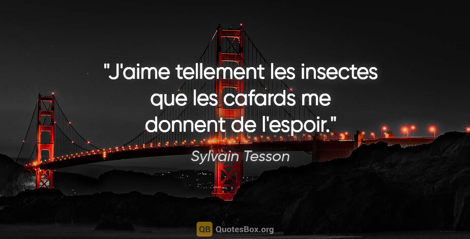 Sylvain Tesson citation: "J'aime tellement les insectes que les cafards me donnent de..."