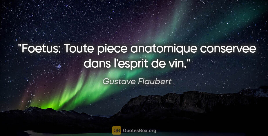 Gustave Flaubert citation: "Foetus: Toute piece anatomique conservee dans l'esprit de vin."