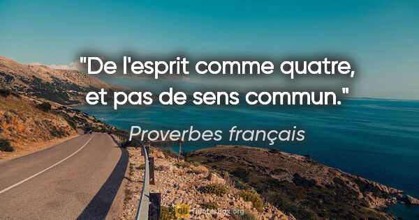 Proverbes français citation: "De l'esprit comme quatre, et pas de sens commun."
