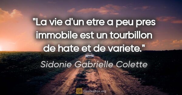 Sidonie Gabrielle Colette citation: "La vie d'un etre a peu pres immobile est un tourbillon de hate..."