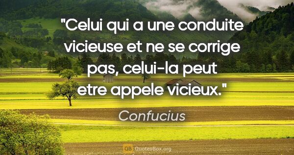 Confucius citation: "Celui qui a une conduite vicieuse et ne se corrige pas,..."