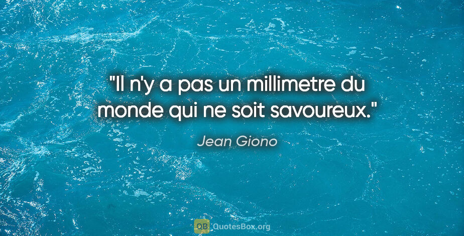 Jean Giono citation: "Il n'y a pas un millimetre du monde qui ne soit savoureux."