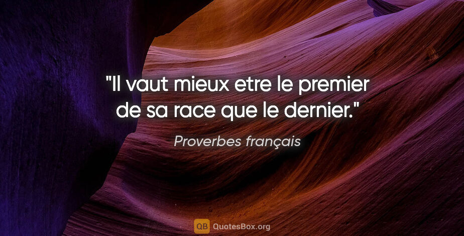 Proverbes français citation: "Il vaut mieux etre le premier de sa race que le dernier."