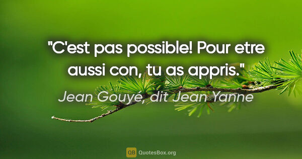 Jean Gouyé, dit Jean Yanne citation: "C'est pas possible! Pour etre aussi con, tu as appris."