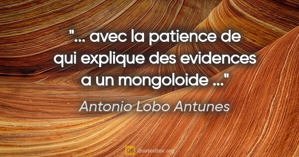 Antonio Lobo Antunes citation: " avec la patience de qui explique des evidences a un..."
