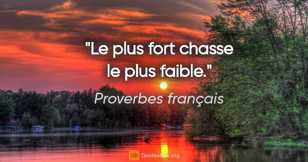 Proverbes français citation: "Le plus fort chasse le plus faible."