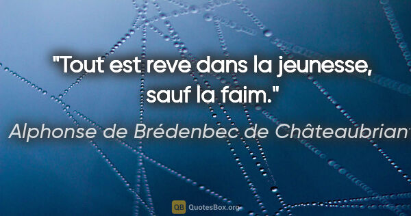 Alphonse de Brédenbec de Châteaubriant citation: "Tout est reve dans la jeunesse, sauf la faim."