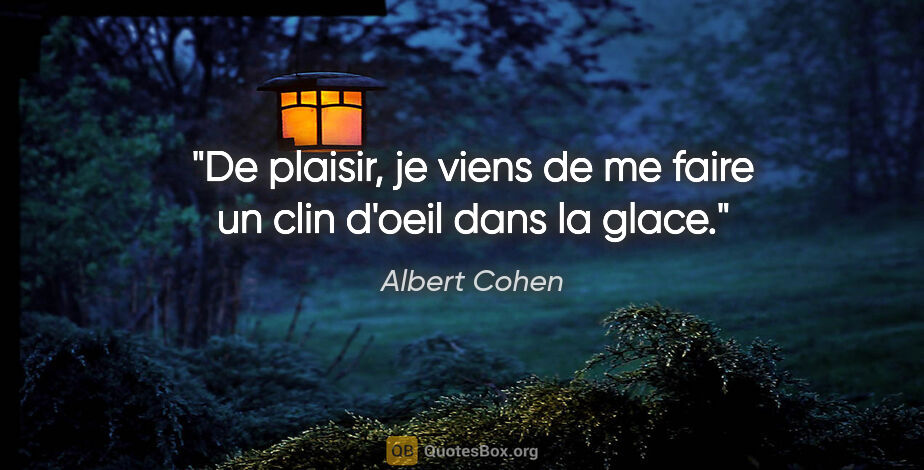 Albert Cohen citation: "De plaisir, je viens de me faire un clin d'oeil dans la glace."