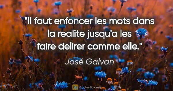 José Galvan citation: "Il faut enfoncer les mots dans la realite jusqu'a les faire..."