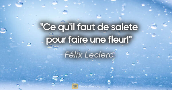 Félix Leclerc citation: "Ce qu'il faut de salete pour faire une fleur!"