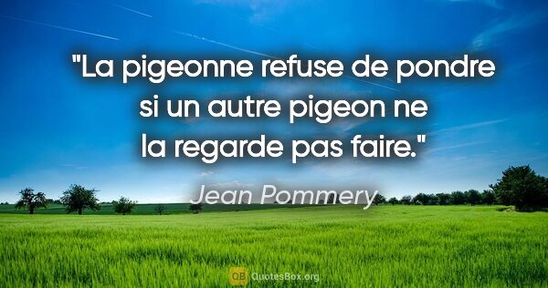 Jean Pommery citation: "La pigeonne refuse de pondre si un autre pigeon ne la regarde..."