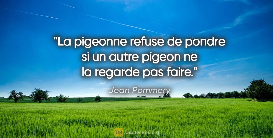 Jean Pommery citation: "La pigeonne refuse de pondre si un autre pigeon ne la regarde..."