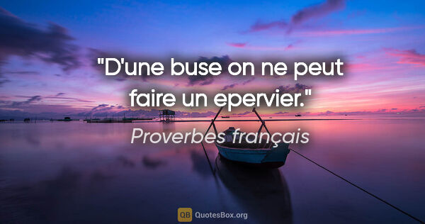 Proverbes français citation: "D'une buse on ne peut faire un epervier."