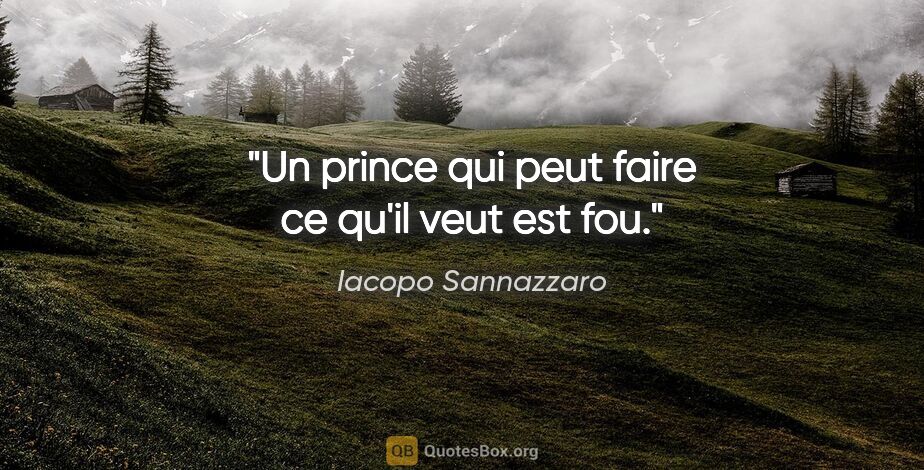 Iacopo Sannazzaro citation: "Un prince qui peut faire ce qu'il veut est fou."
