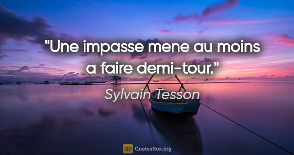 Sylvain Tesson citation: "Une impasse mene au moins a faire demi-tour."