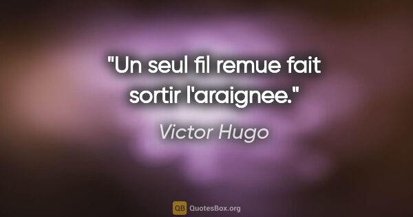 Victor Hugo citation: "Un seul fil remue fait sortir l'araignee."