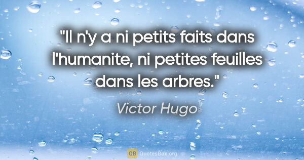 Victor Hugo citation: "Il n'y a ni petits faits dans l'humanite, ni petites feuilles..."