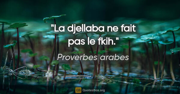 Proverbes arabes citation: "La djellaba ne fait pas le fkih."