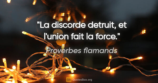 Proverbes flamands citation: "La discorde detruit, et l'union fait la force."