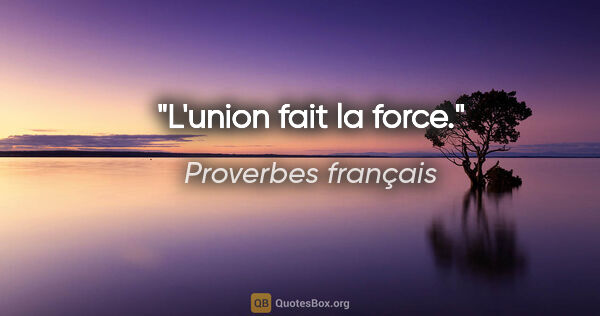 Proverbes français citation: "L'union fait la force."