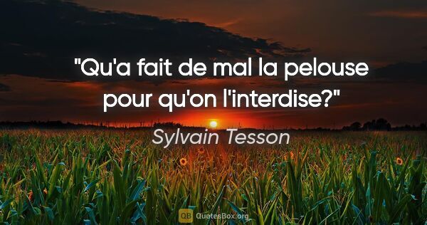 Sylvain Tesson citation: "Qu'a fait de mal la pelouse pour qu'on l'interdise?"