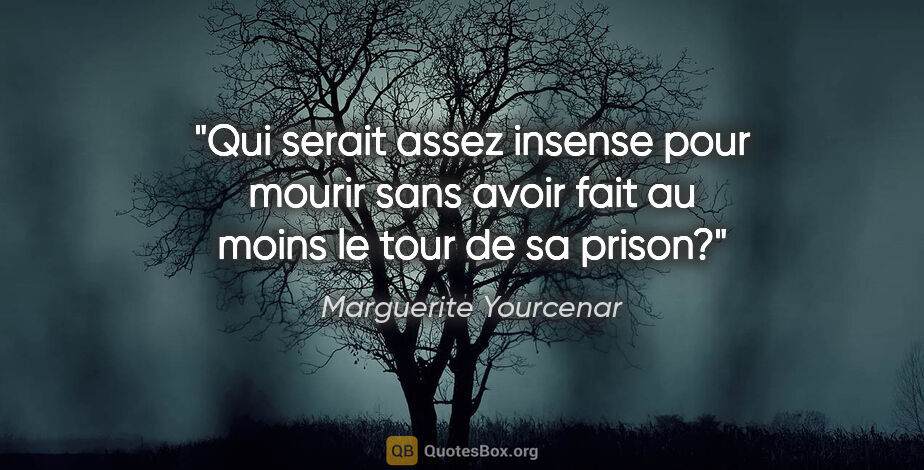 Marguerite Yourcenar citation: "Qui serait assez insense pour mourir sans avoir fait au moins..."