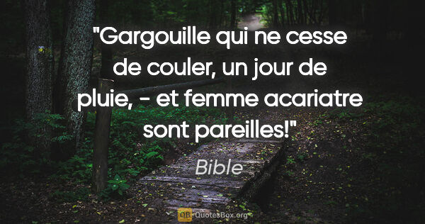 Bible citation: "Gargouille qui ne cesse de couler, un jour de pluie, - et..."