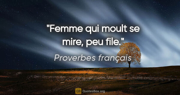 Proverbes français citation: "Femme qui moult se mire, peu file."