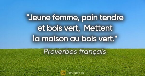 Proverbes français citation: "Jeune femme, pain tendre et bois vert,  Mettent la maison au..."