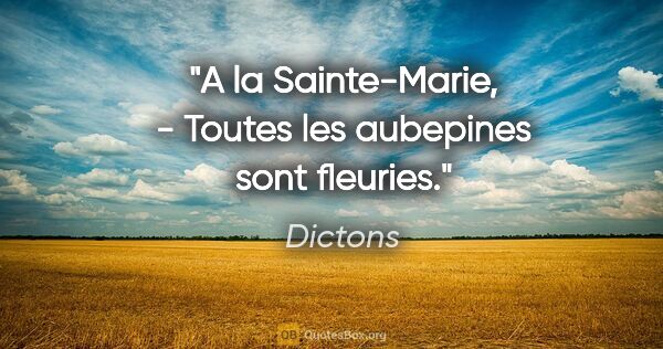 Dictons citation: "A la Sainte-Marie, - Toutes les aubepines sont fleuries."