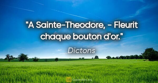 Dictons citation: "A Sainte-Theodore, - Fleurit chaque bouton d'or."