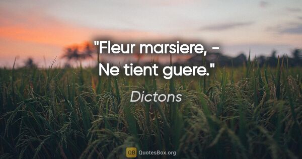 Dictons citation: "Fleur marsiere, - Ne tient guere."