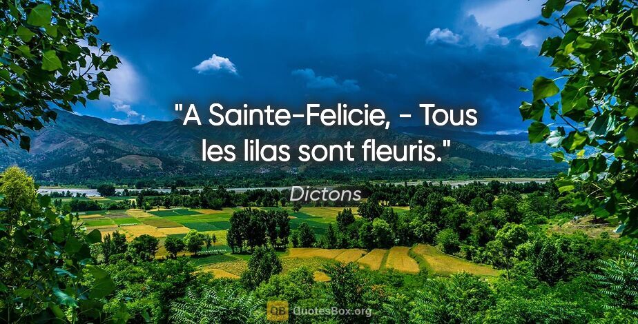 Dictons citation: "A Sainte-Felicie, - Tous les lilas sont fleuris."