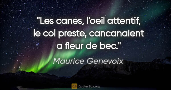 Maurice Genevoix citation: "Les canes, l'oeil attentif, le col preste, cancanaient a fleur..."