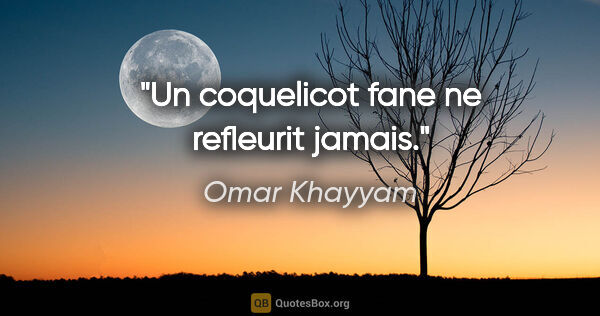 Omar Khayyam citation: "Un coquelicot fane ne refleurit jamais."