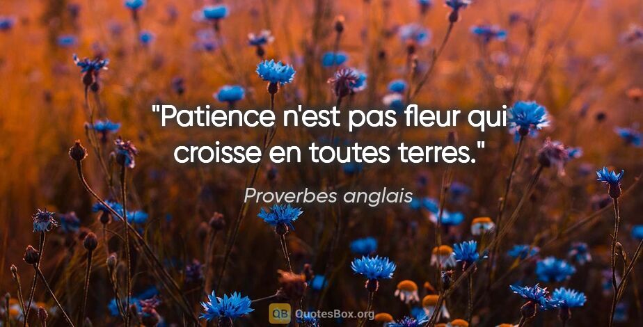 Proverbes anglais citation: "Patience n'est pas fleur qui croisse en toutes terres."