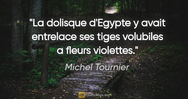 Michel Tournier citation: "La dolisque d'Egypte y avait entrelace ses tiges volubiles a..."