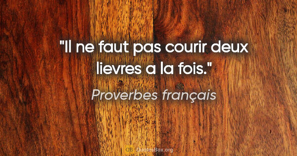 Proverbes français citation: "Il ne faut pas courir deux lievres a la fois."