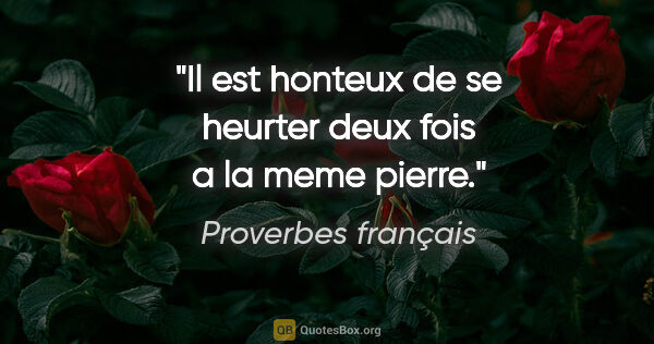Proverbes français citation: "Il est honteux de se heurter deux fois a la meme pierre."