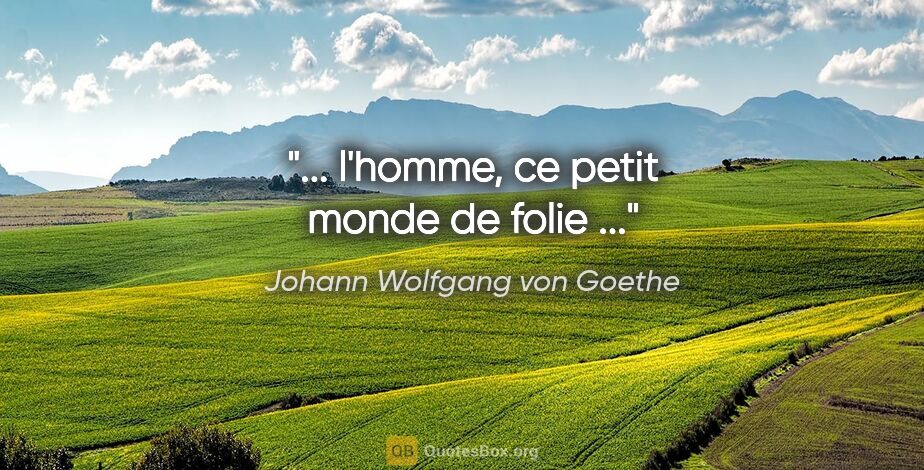 Johann Wolfgang von Goethe citation: "... l'homme, ce petit monde de folie ..."
