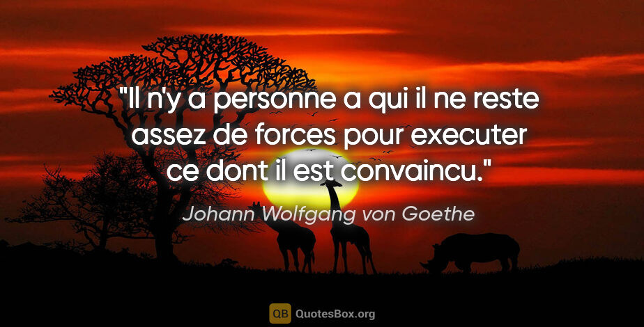 Johann Wolfgang von Goethe citation: "Il n'y a personne a qui il ne reste assez de forces pour..."