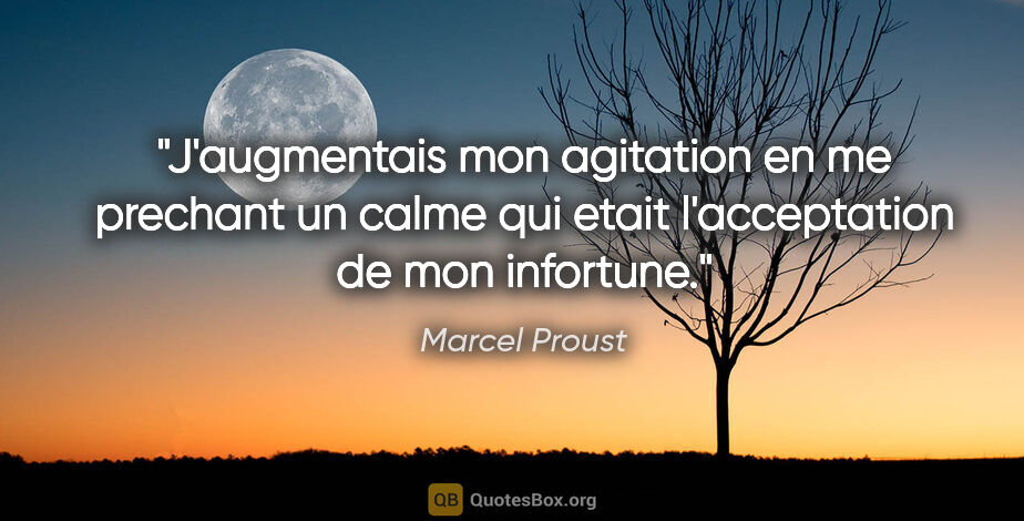 Marcel Proust citation: "J'augmentais mon agitation en me prechant un calme qui etait..."