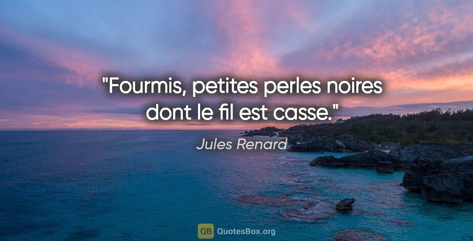 Jules Renard citation: "Fourmis, petites perles noires dont le fil est casse."